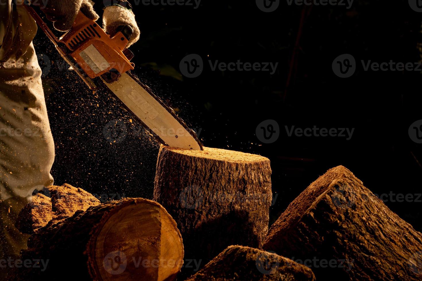 electric chainsaws cut trees in the forest for building a house and making firewood The concept of deforestation photo