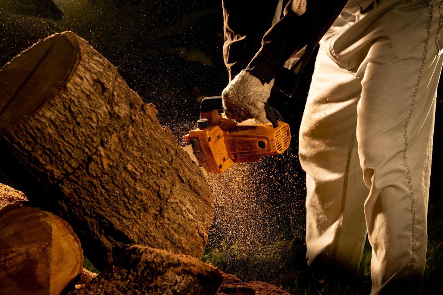 electric chainsaws cut trees in the forest for building a house and making firewood The concept of deforestation photo