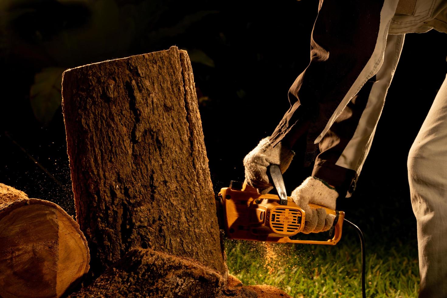 electric chainsaws cut trees in the forest for building a house and making firewood The concept of deforestation photo