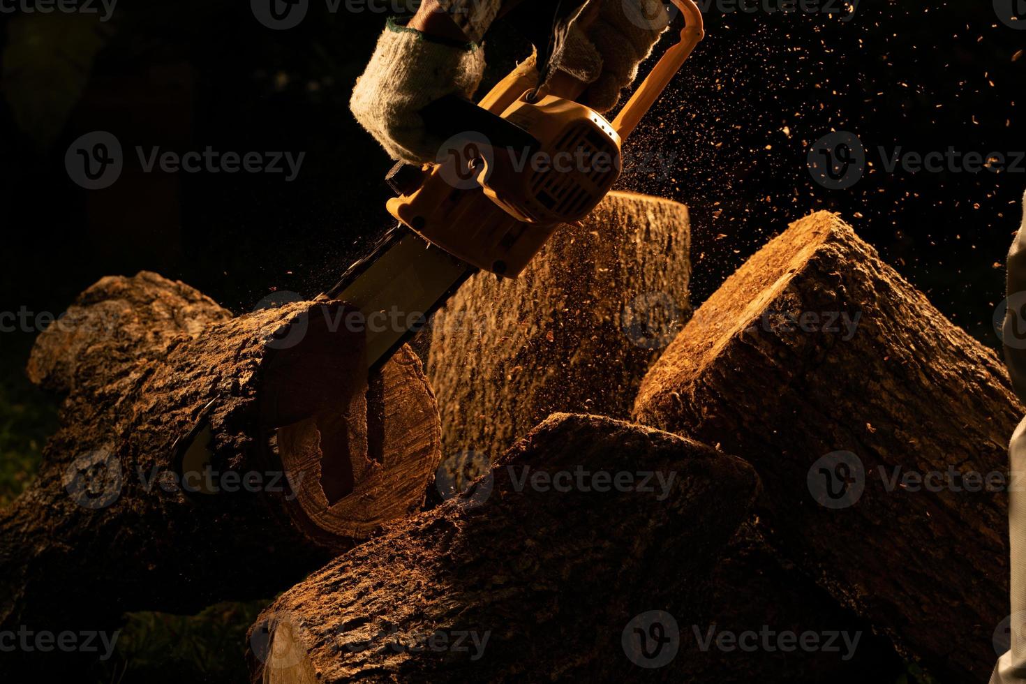 electric chainsaws cut trees in the forest for building a house and making firewood The concept of deforestation photo