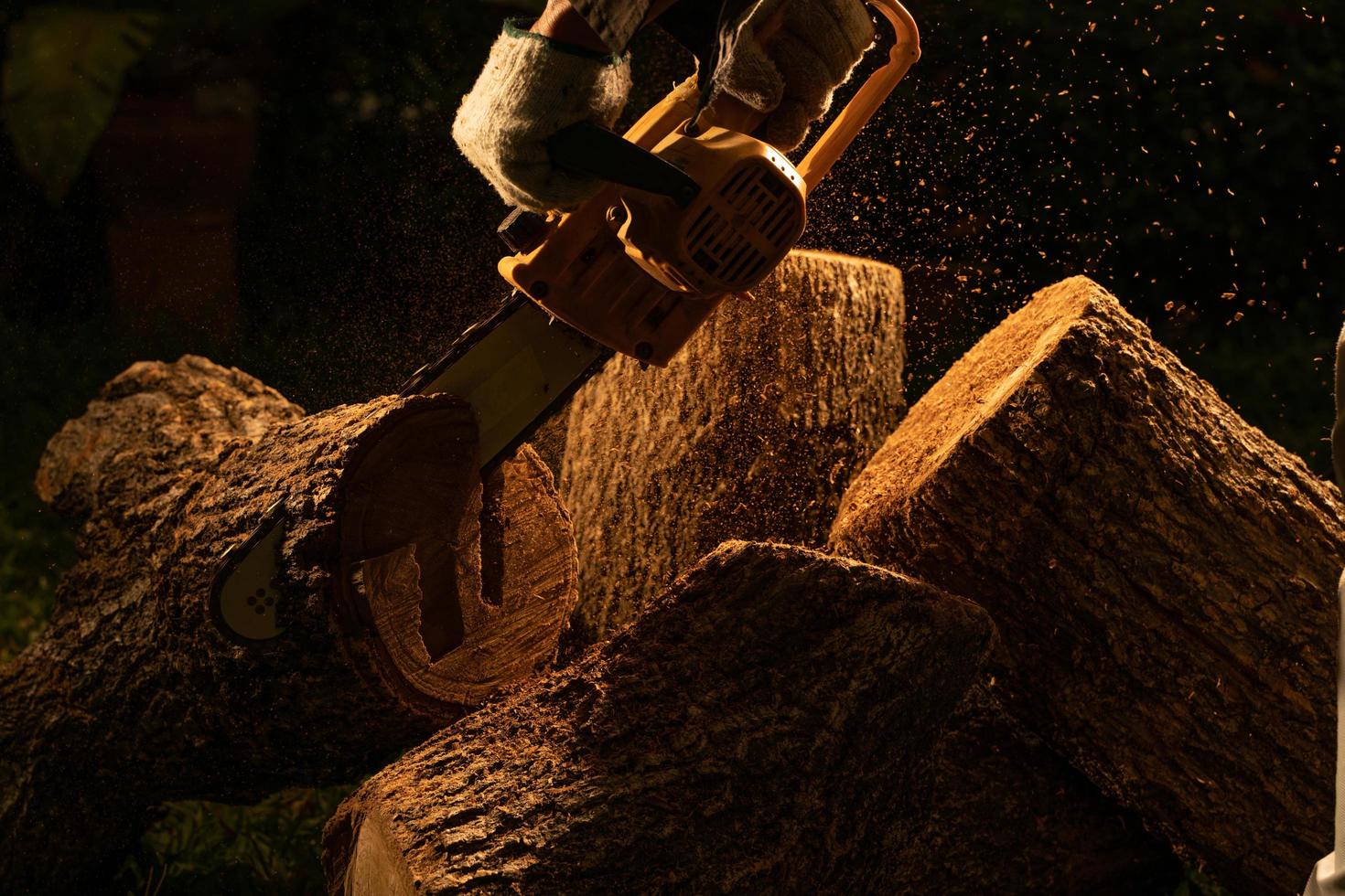 electric chainsaws cut trees in the forest for building a house and making firewood The concept of deforestation photo