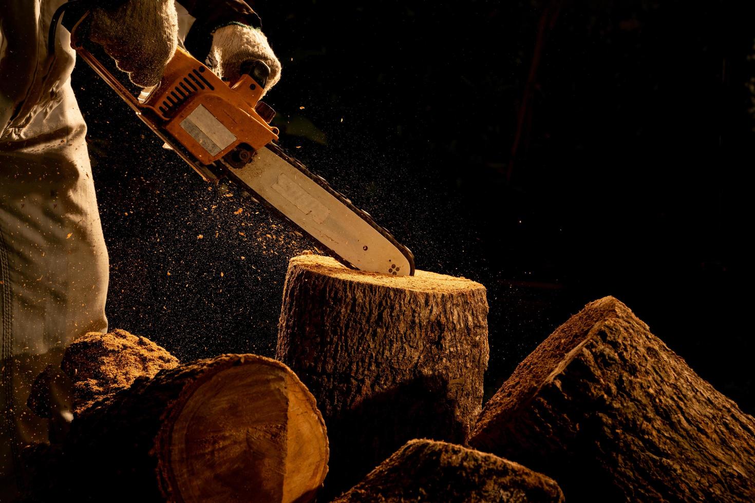 electric chainsaws cut trees in the forest for building a house and making firewood The concept of deforestation photo