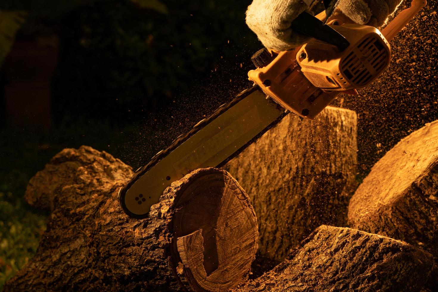 electric chainsaws cut trees in the forest for building a house and making firewood The concept of deforestation photo
