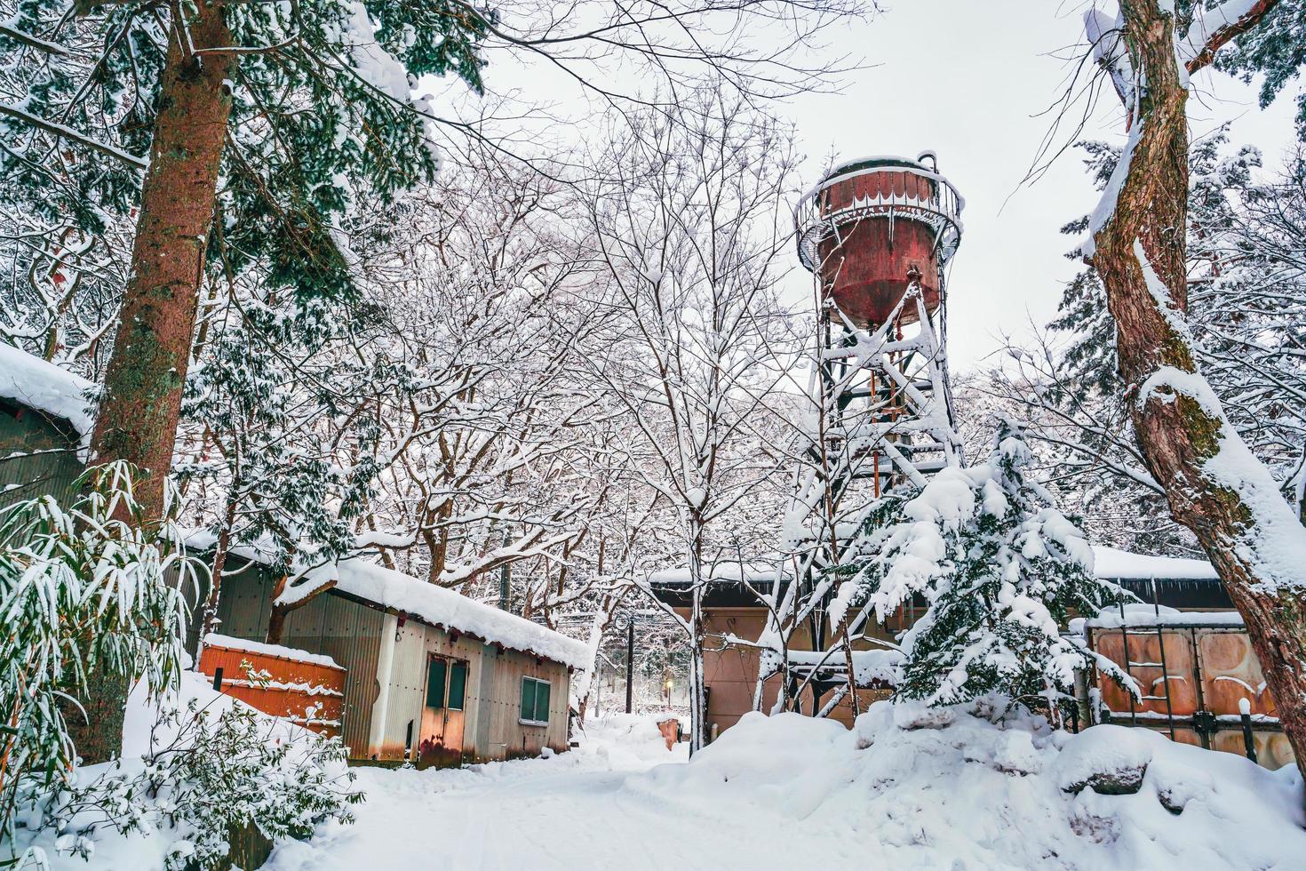 heavy snow  at Heike No Sato Village in Tochigi Prefecture, Nikko City, JAPAN photo