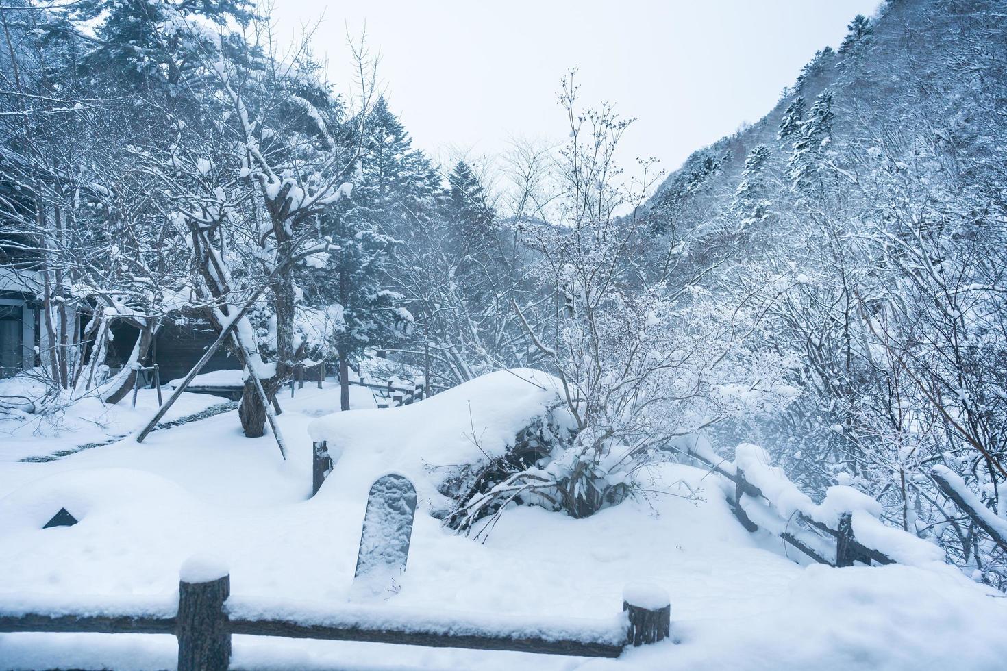 fuertes nevadas en el pueblo de heike no sato en la prefectura de tochigi, ciudad de nikko, japón foto