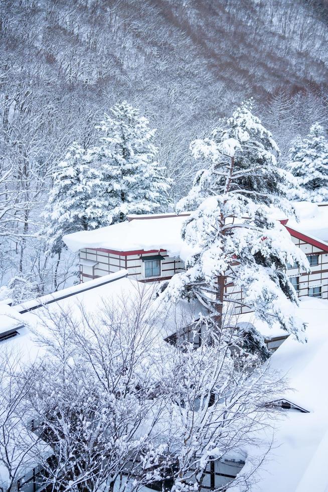 imagen vertical de fuertes nevadas en el pueblo de heike no sato en la prefectura de tochigi, ciudad de nikko, japón foto