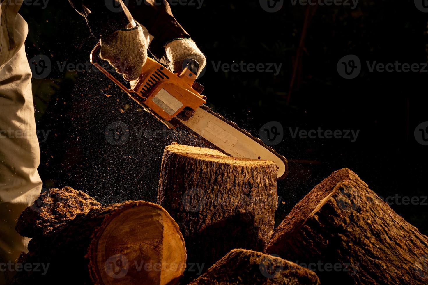 electric chainsaws cut trees in the forest for building a house and making firewood The concept of deforestation photo