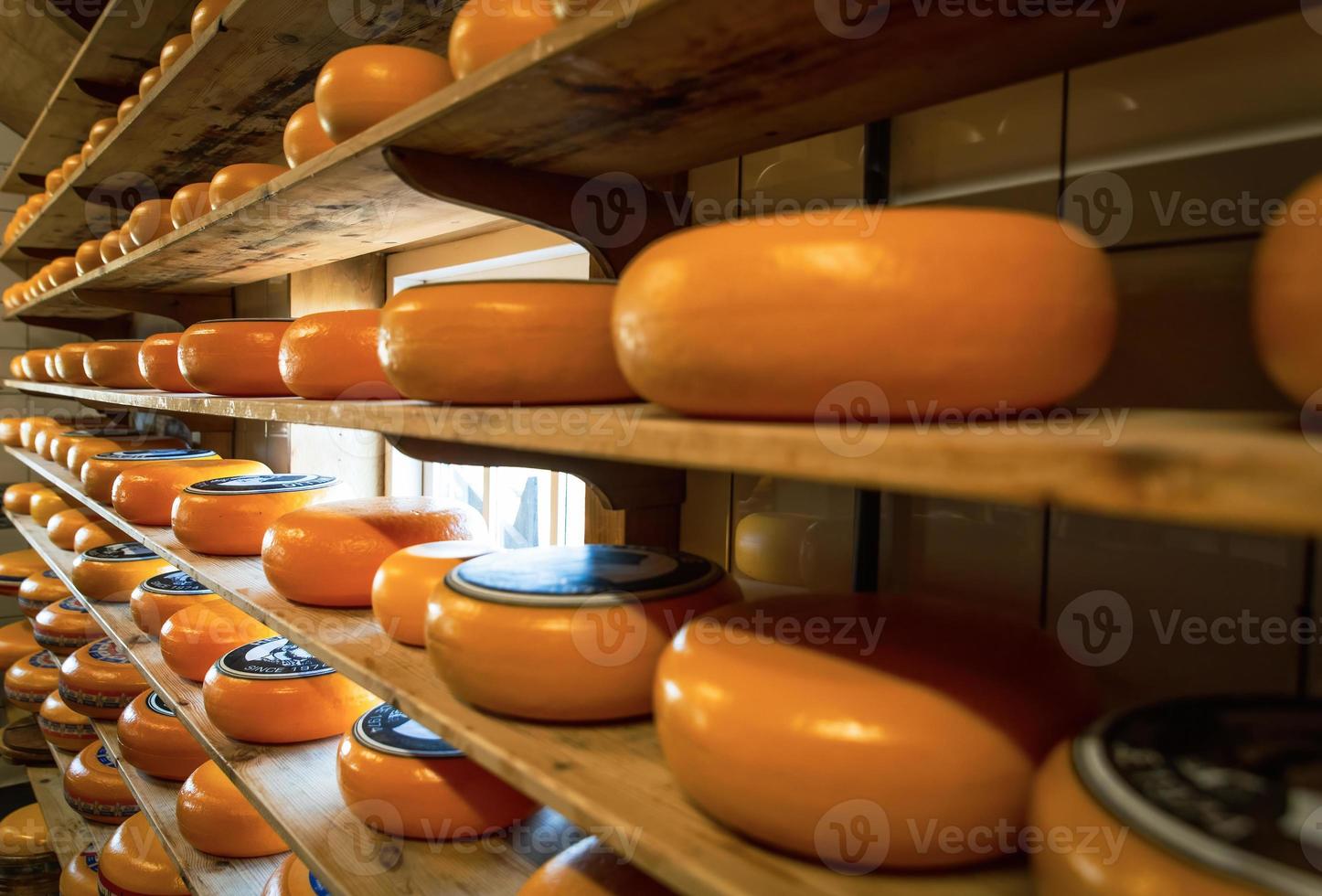 Dutch cheese wheels are stacked and available for purchase by the general public photo