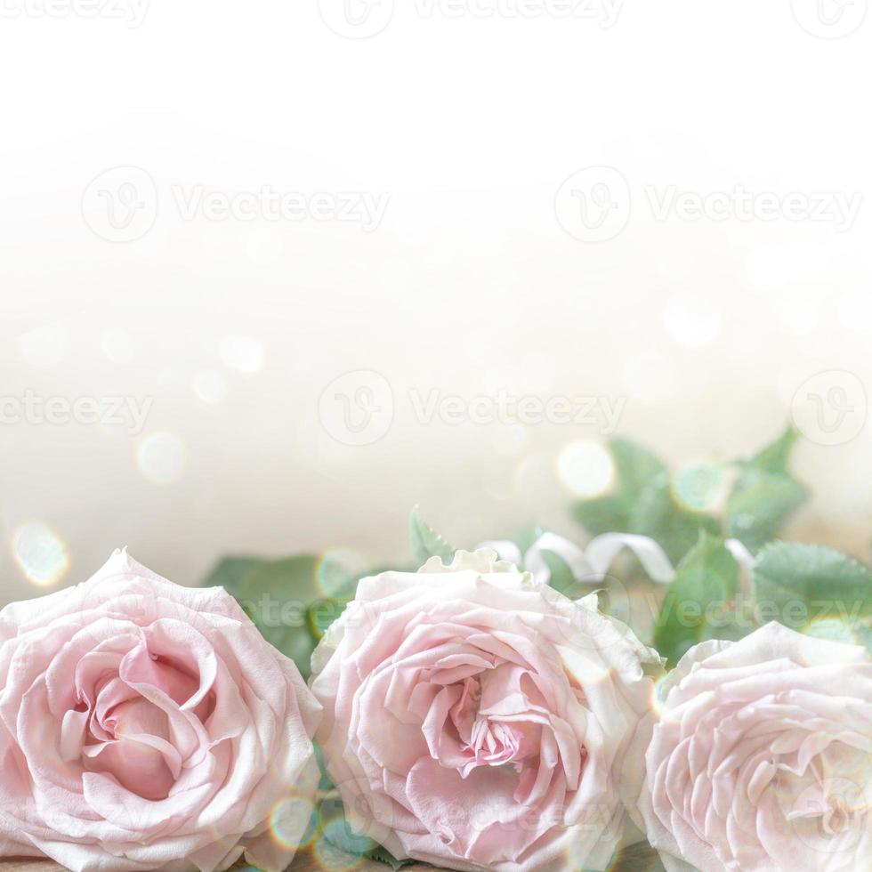 Pale pink roses on light neutral backdrop with bokeh lights. Holiday card. Square format. Copy space photo