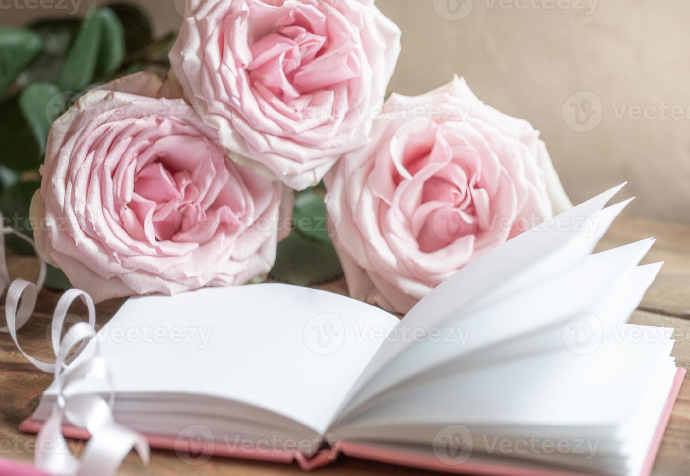 Opened white empty blank notepad and pink roses on light neutral background close up. Soft focus. photo