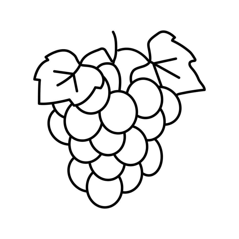 icono de línea de vino de uva azul ilustración vectorial vector