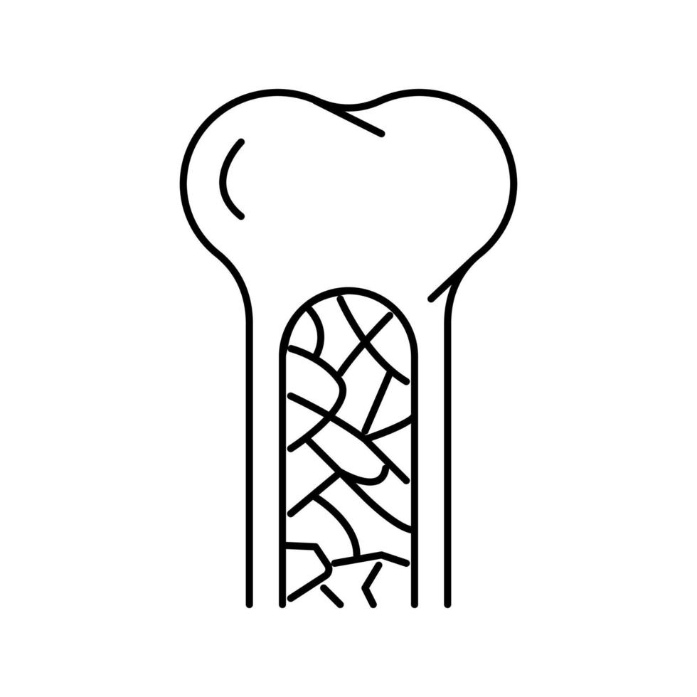 ilustración de vector de icono de línea de médula ósea