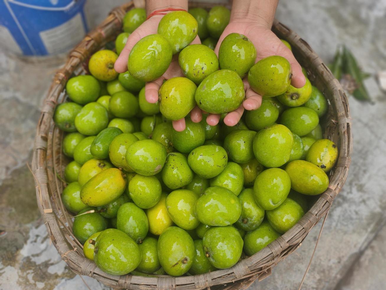 Green Mango Pictures, Images and Stock Photos