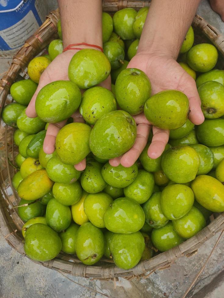Green Mango Pictures, Images and Stock Photos