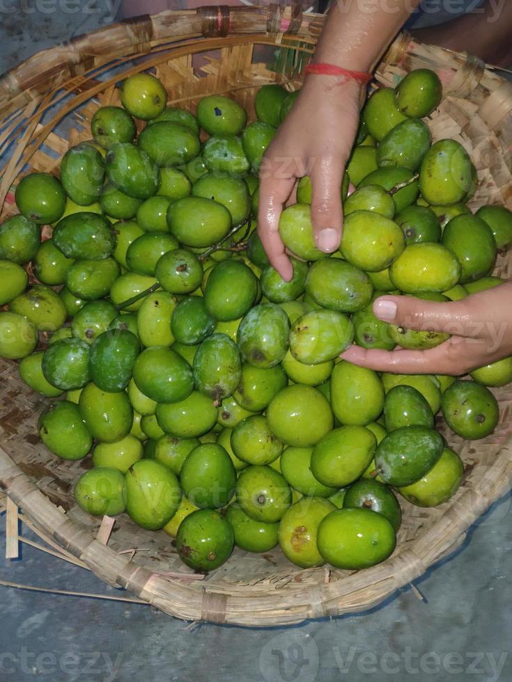 mango verde fotografías e imágenes de stock foto