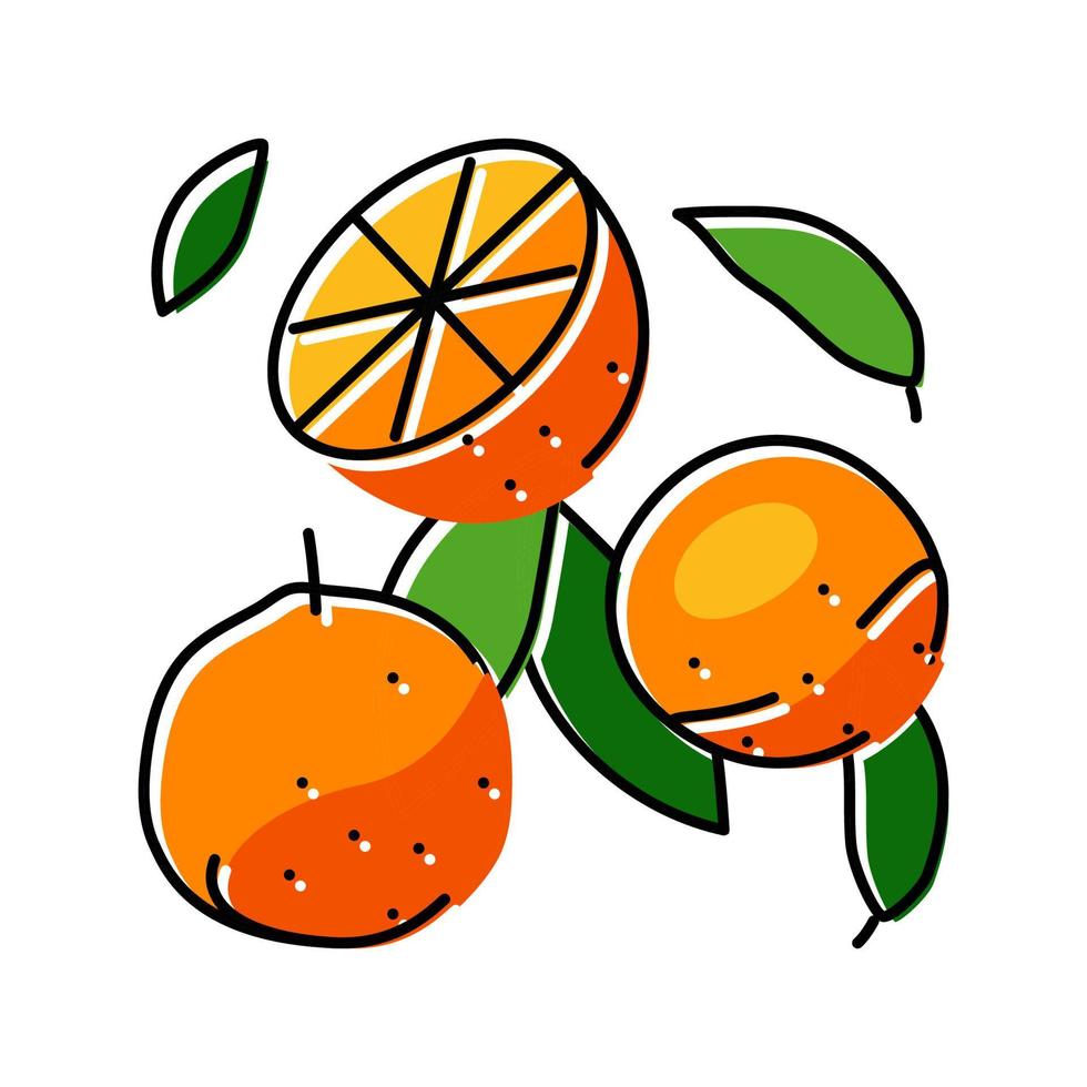 ripe orange cut leaf color icon vector illustration