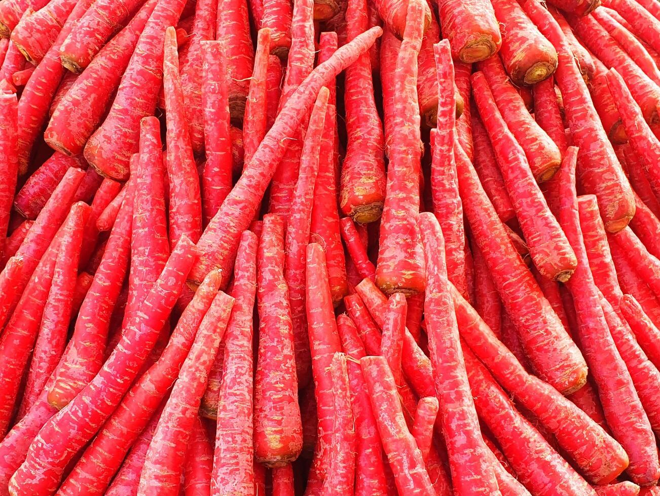 pile of carrots red fresh organic healthy photo
