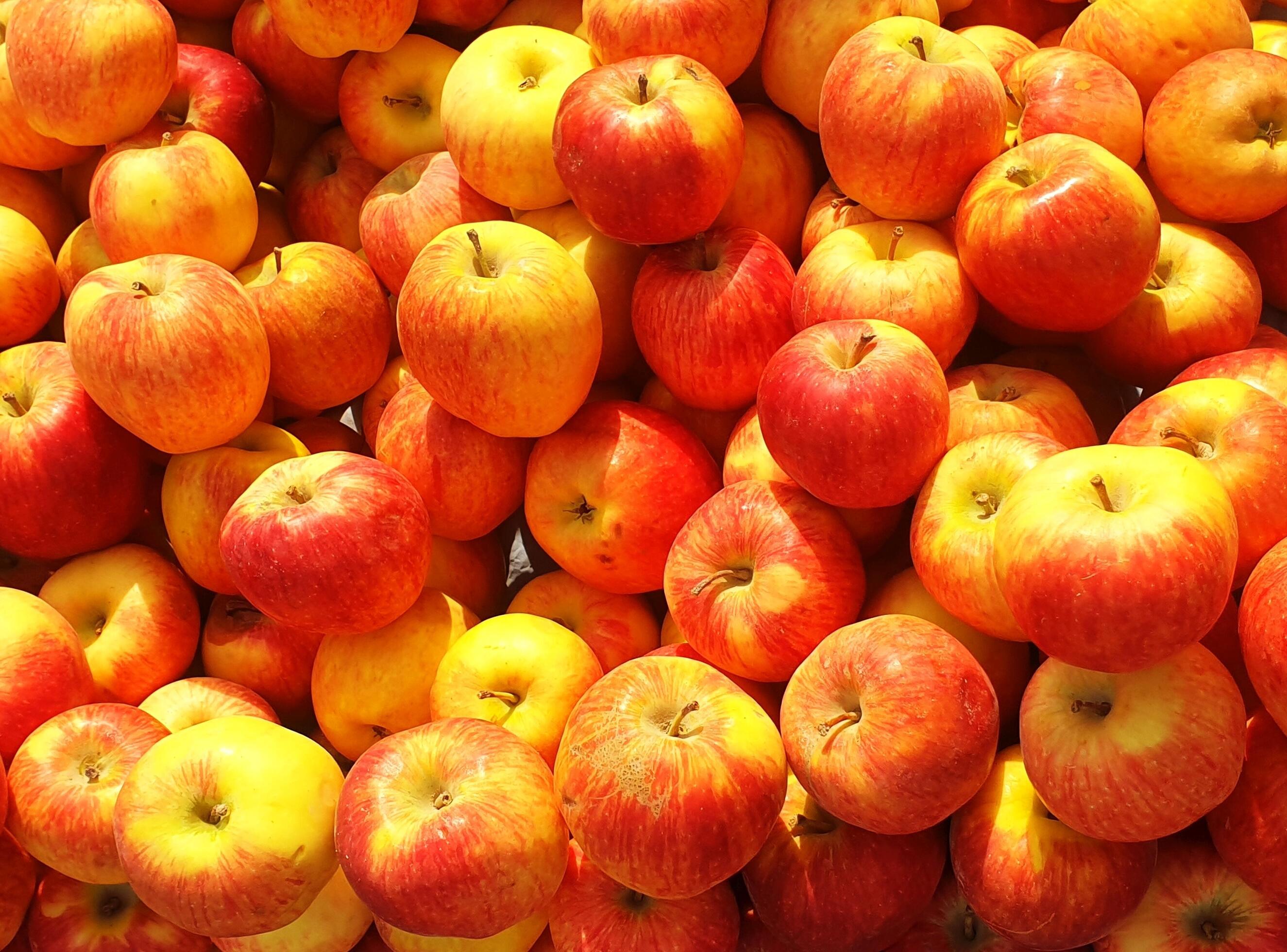 Craze: Jakarta'S Amazing Fresh Fruit Market! - q1vn4hh