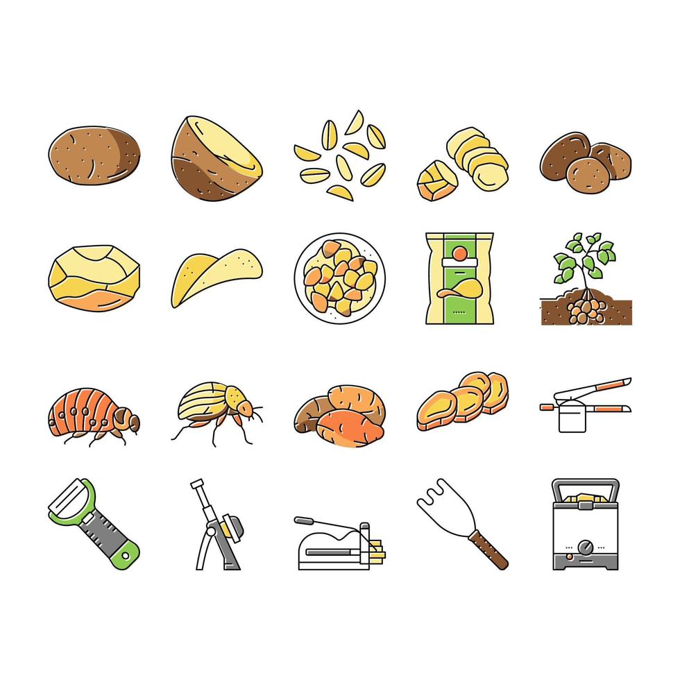 potato vegetable food raw fresh icons set vector