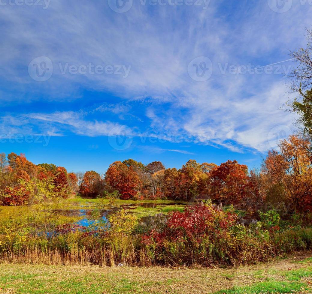 Colorful autumn landscape in the village. Ukraine, Europe. photo