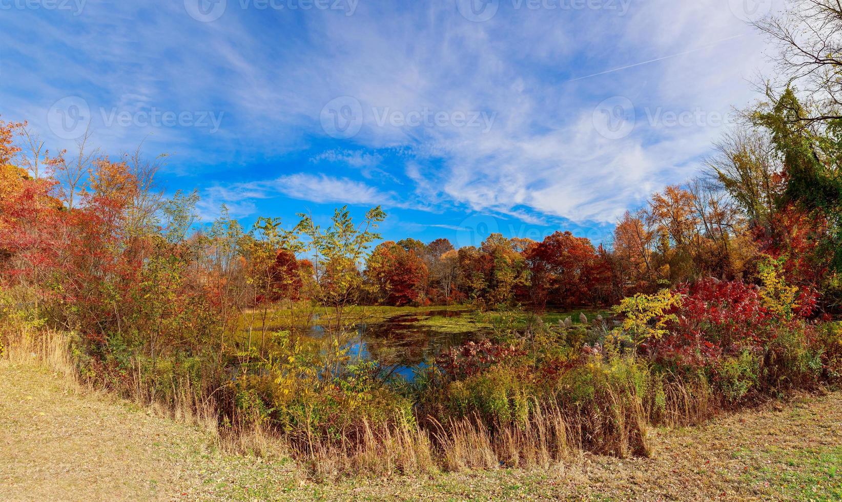 Autumn landscape. with colorful forest. photo