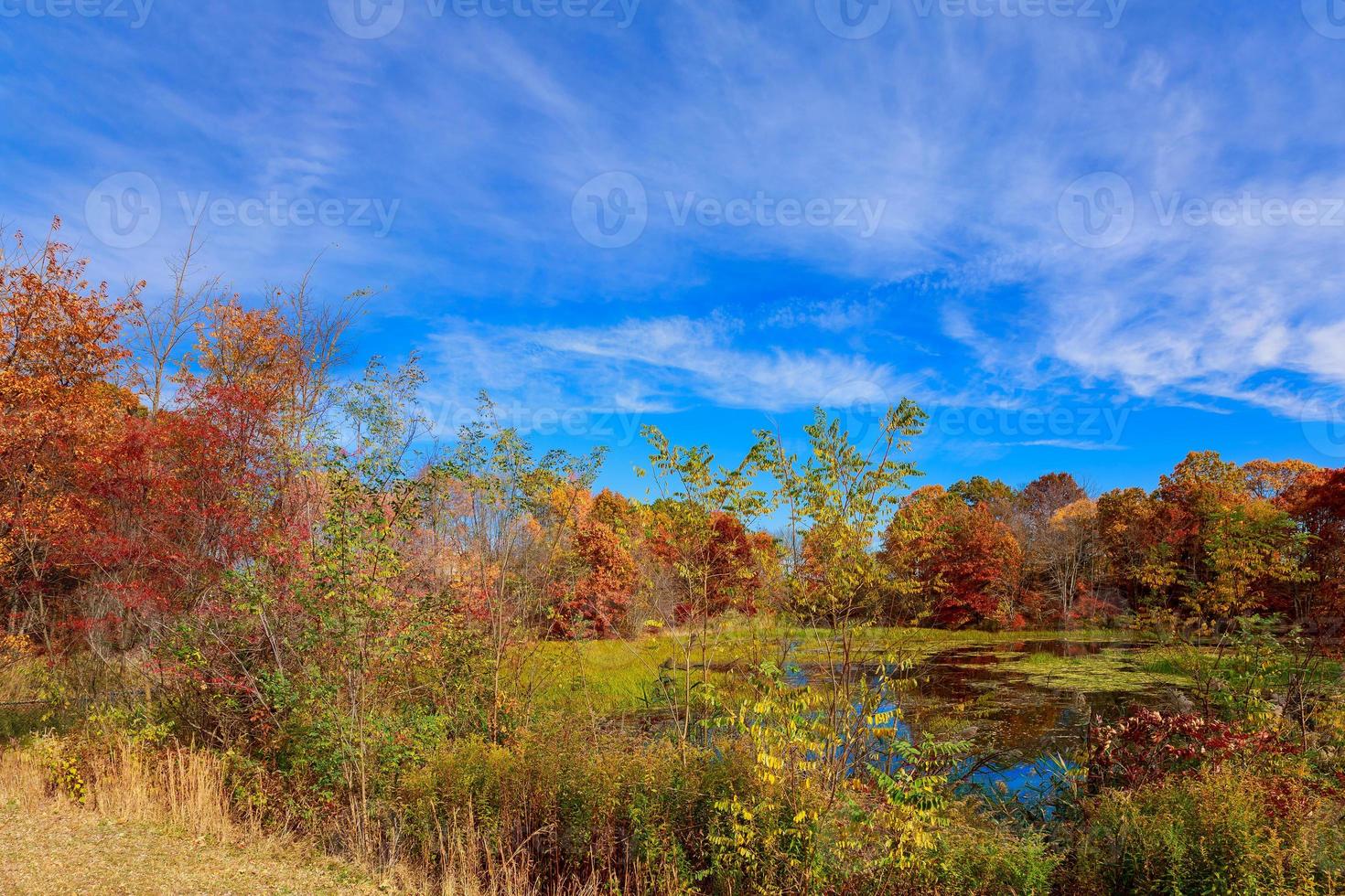 Autumn landscape. with colorful forest. photo