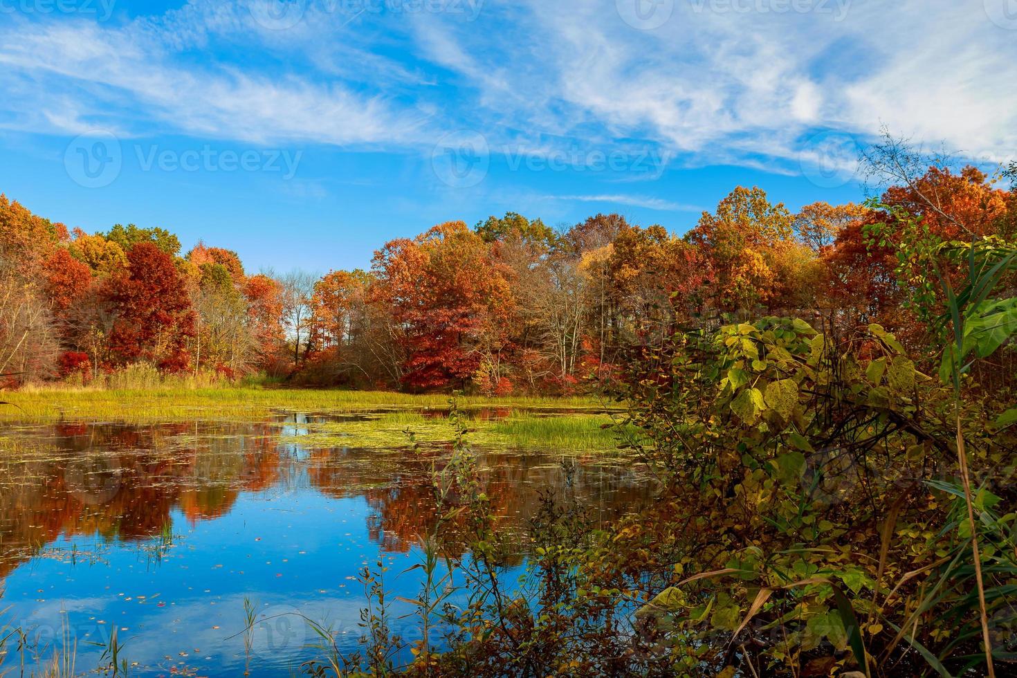 Autumn landscape.   with colorful forest. photo