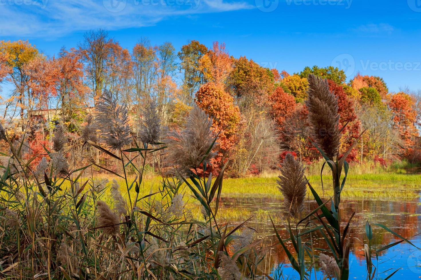 paisaje de otoño los colores brillantes en el lago. foto