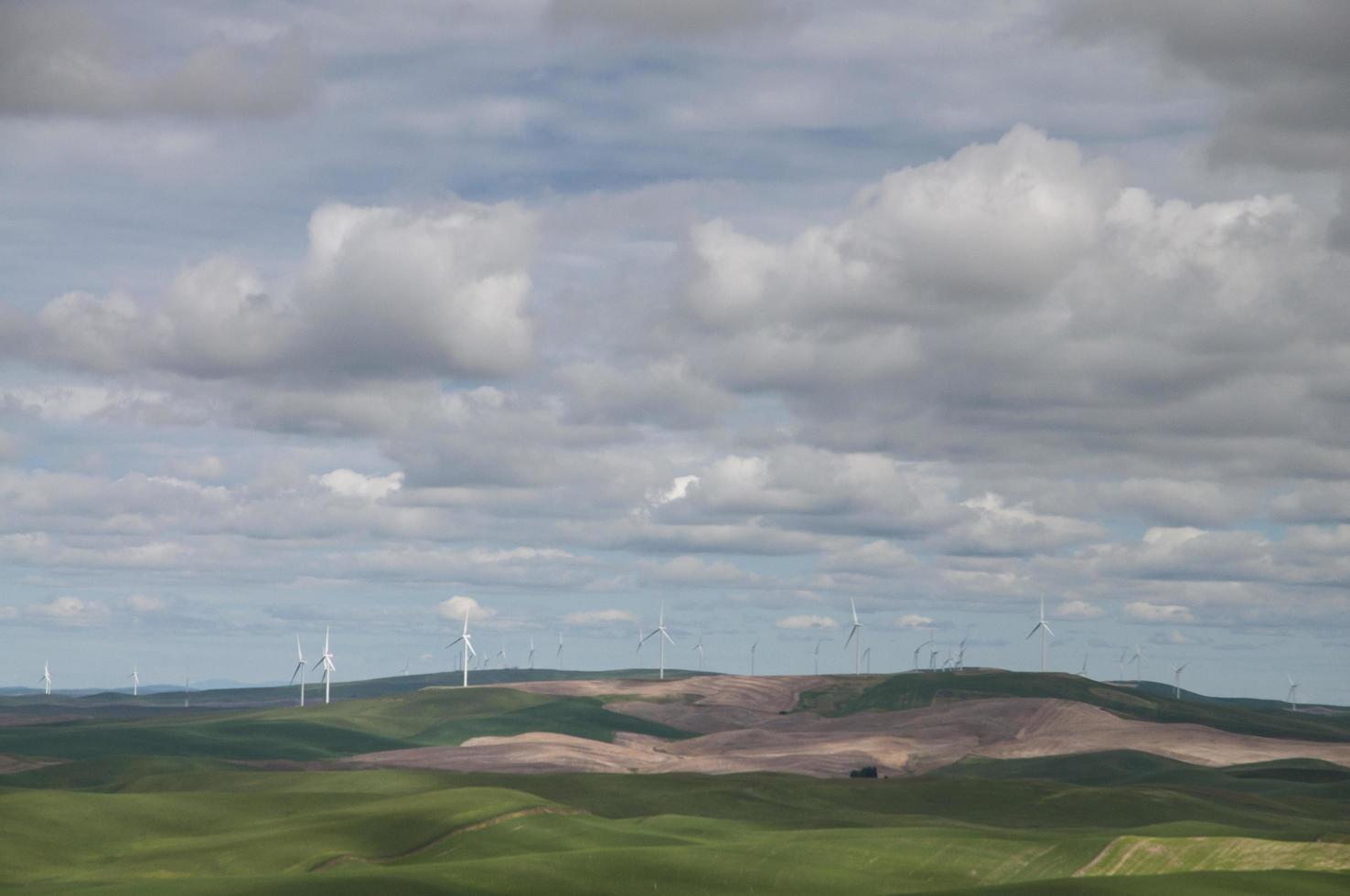 molinos de viento en las colinas bajo el sol foto