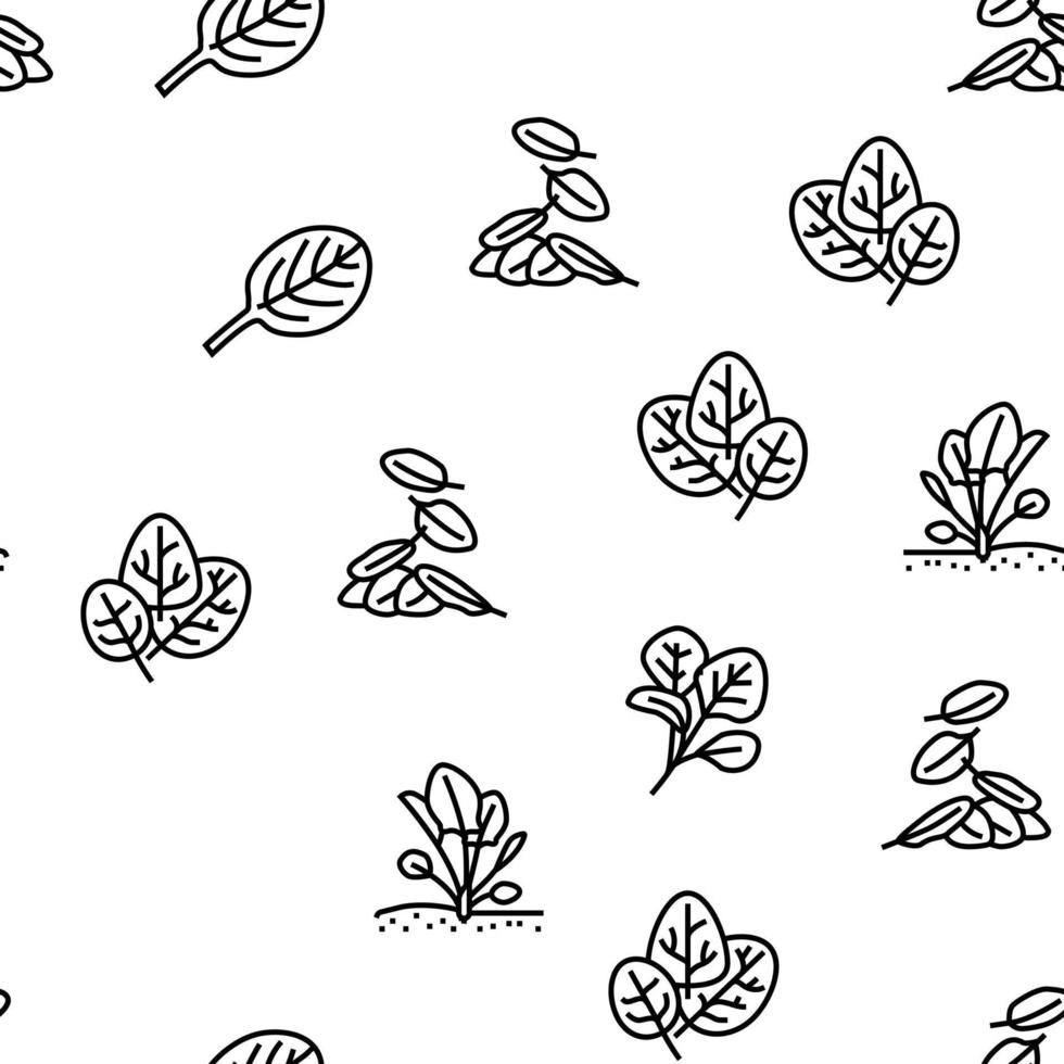 Spinach Healthy Eatery Ingredient vector seamless pattern