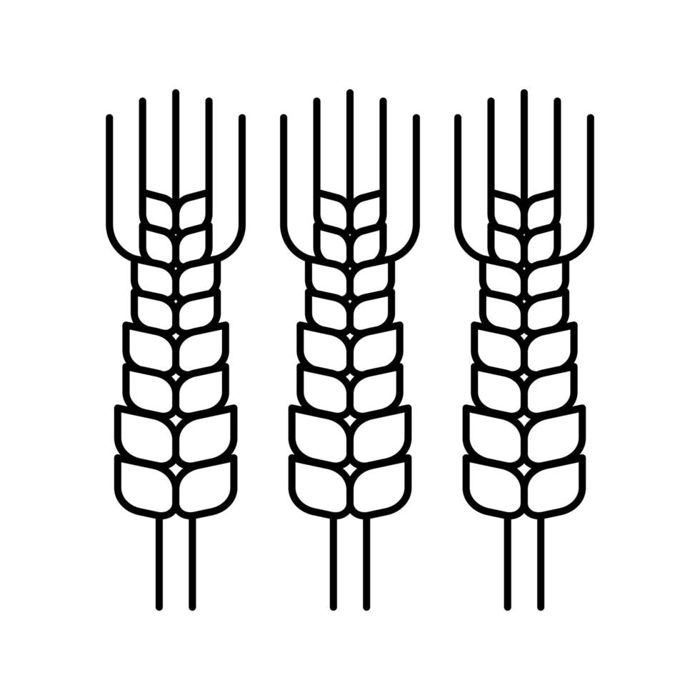 barley beer drink line icon vector illustration