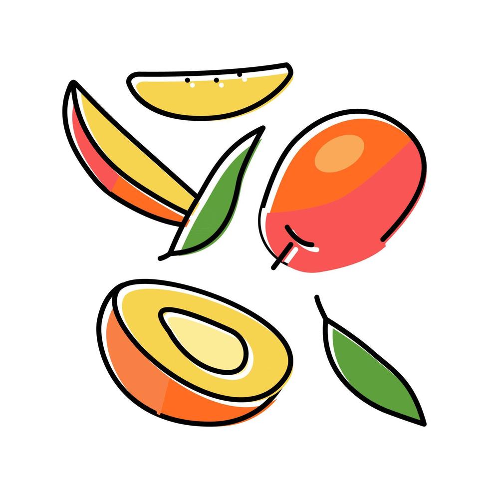 mango ripe cut leaf red color icon vector illustration