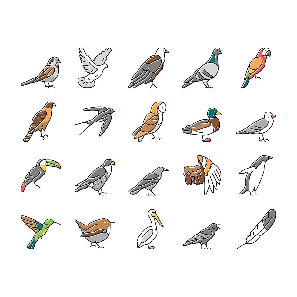 Bird Flying Animal With Feather Icons Set Vector