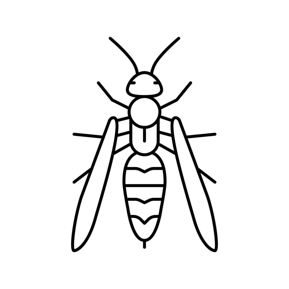 wasp insect line icon vector illustration