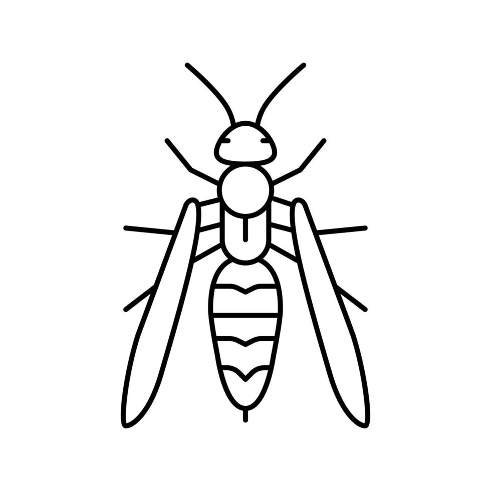 wasp insect line icon vector illustration