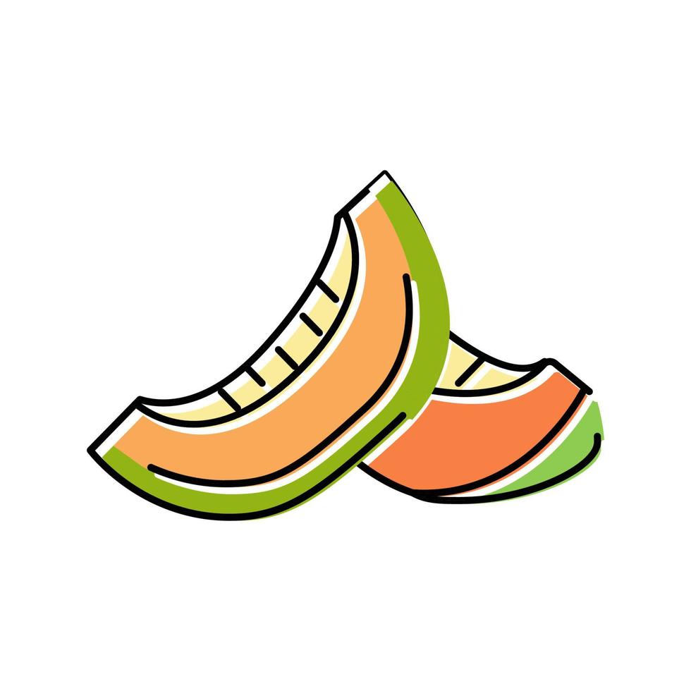 seed melon slice cantaloupe color icon vector illustration