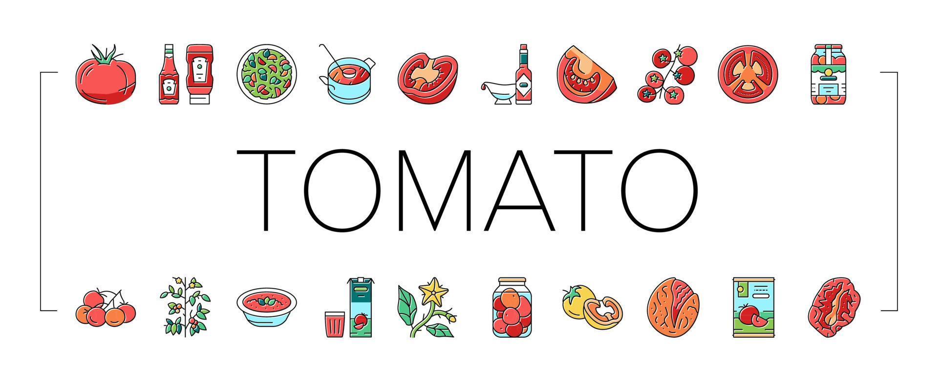 vector de conjunto de iconos vegetales de vitamina natural de tomate