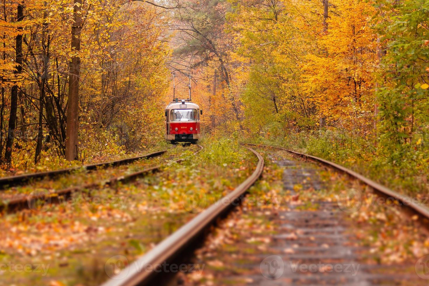 autumn forest among which goes a strange tram photo