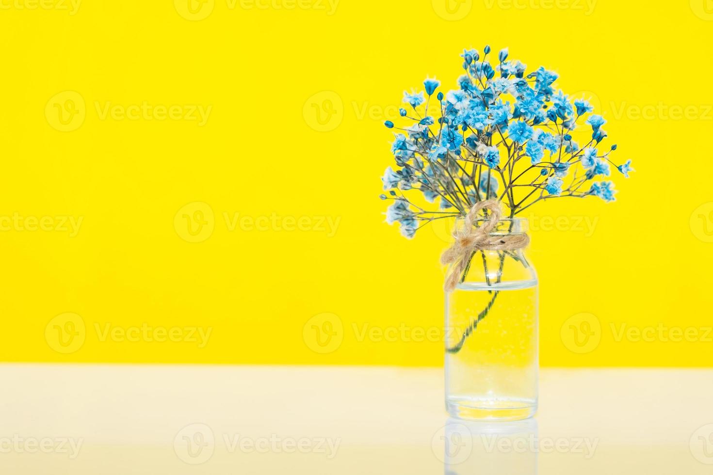 Blue gipsofila flowers on yellow background. Ukrainian symbol background photo