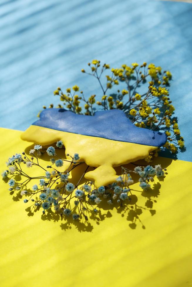 Flat lay Ukrainian map with yellow blue flowers on colored background photo