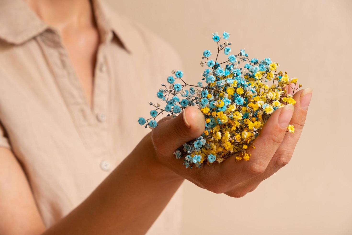 Yellow-blue gypsophila flowers in a woman's hand. Ukrainian symbols photo
