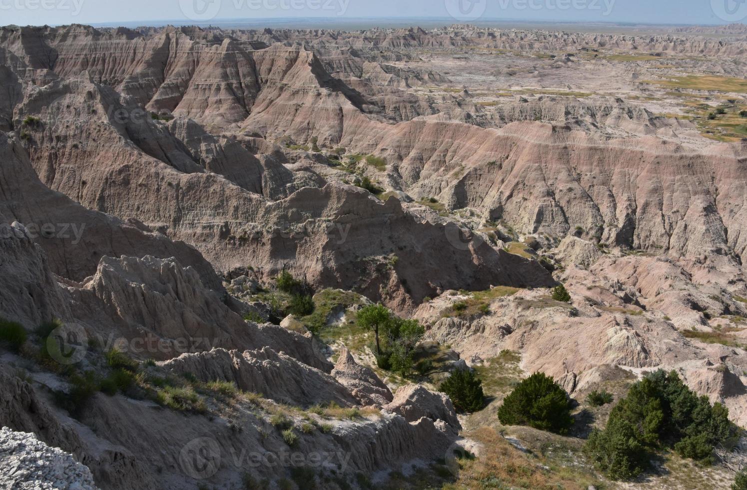 Valley in the Badlands with Trees Growing photo