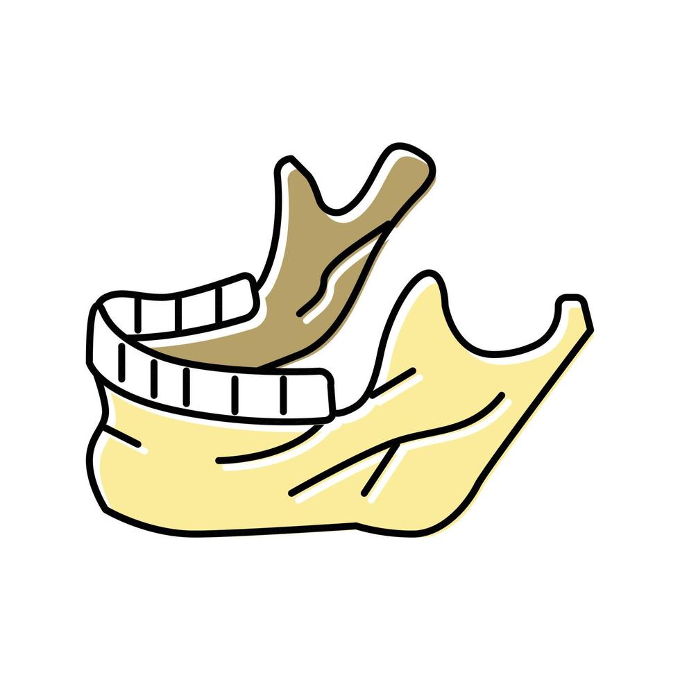 Ilustración de vector de icono de color de hueso de mandíbula