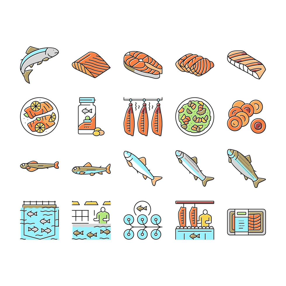 salmón, pescado, delicioso, mariscos, iconos, conjunto, vector