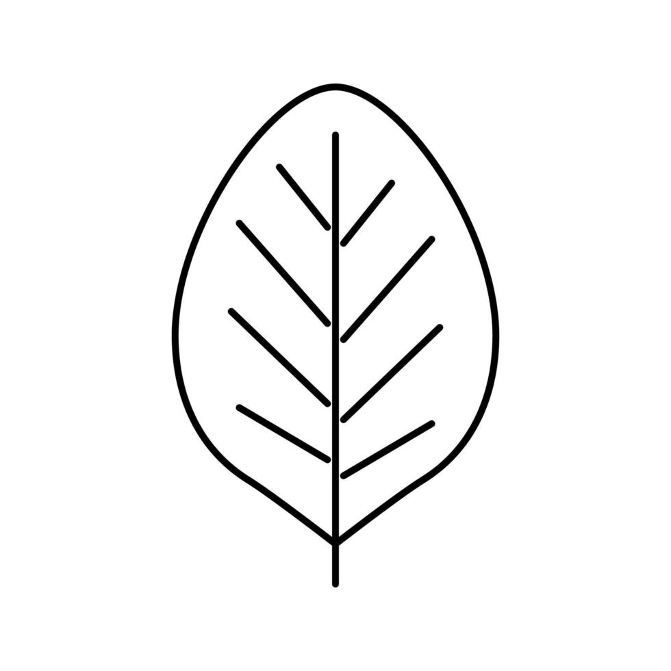 teak leaf line icon vector illustration