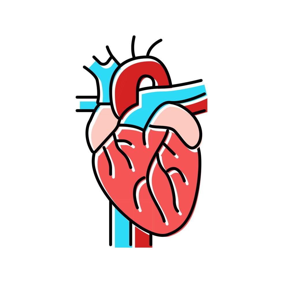 heart organ color icon vector illustration