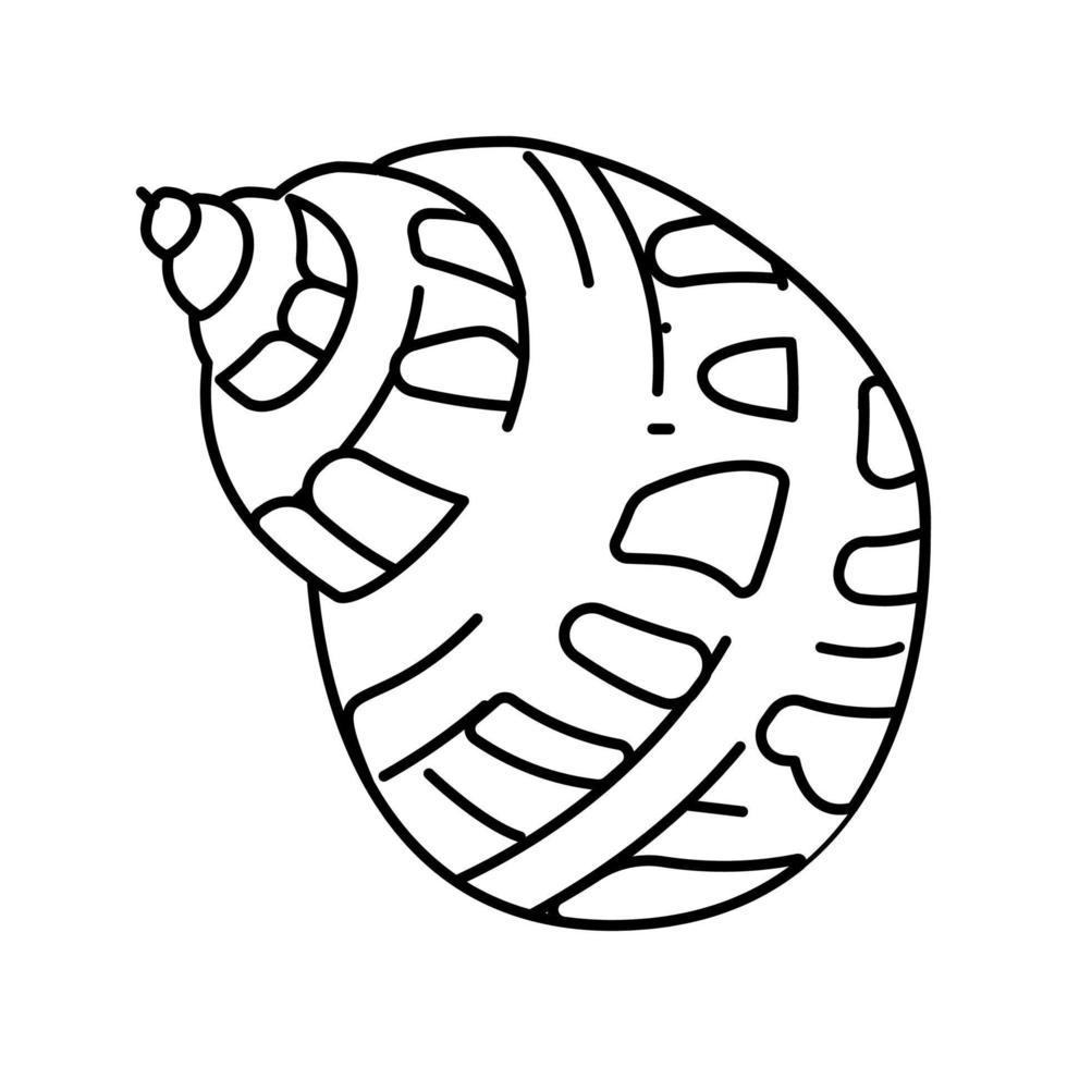 babylon sea shell beach line icon vector illustration