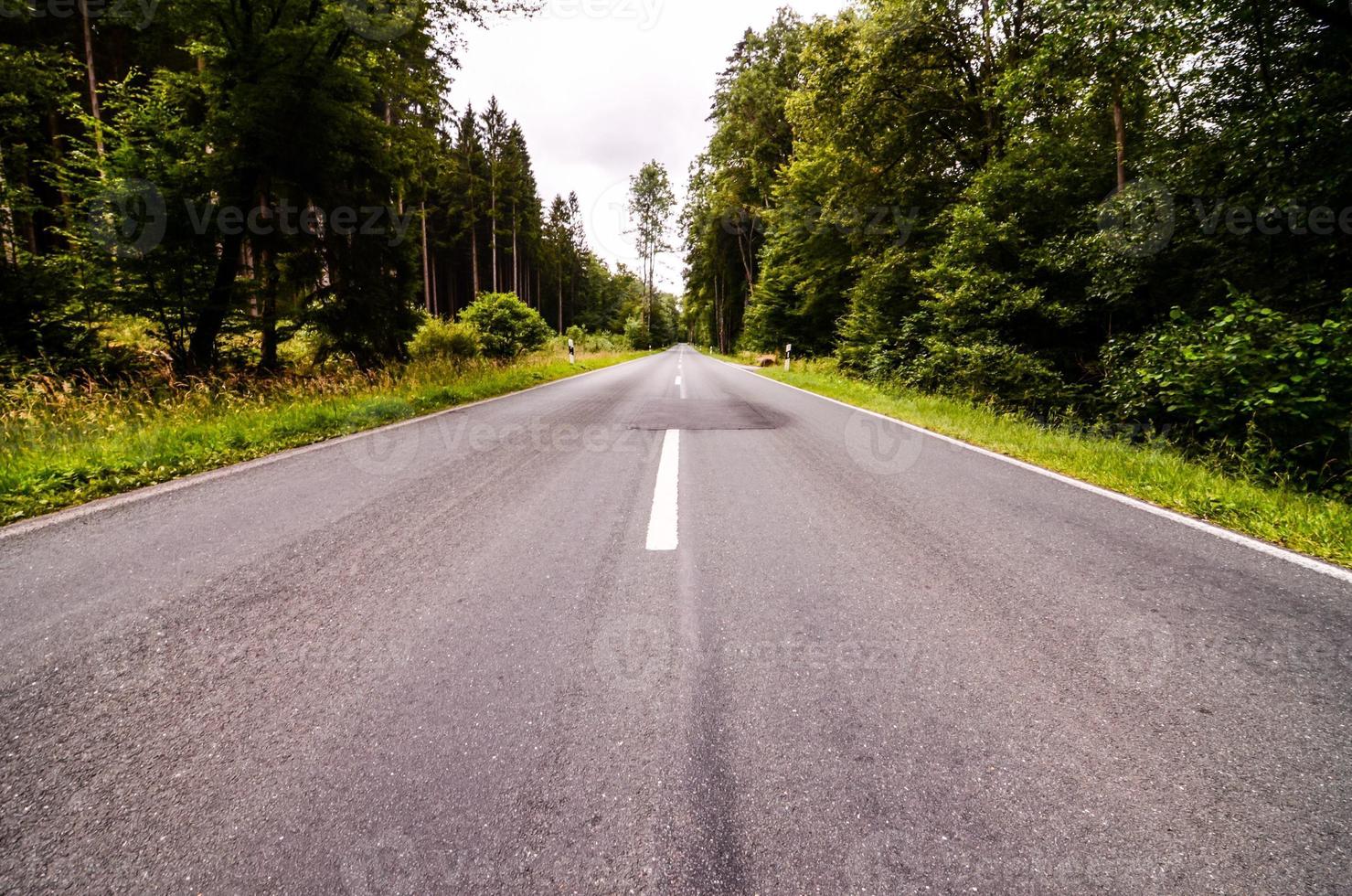 Scenic Road View photo