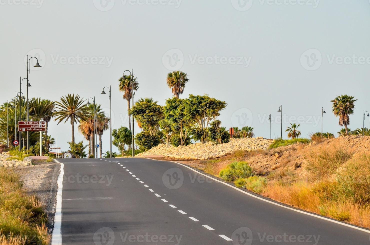 Scenic Road View photo