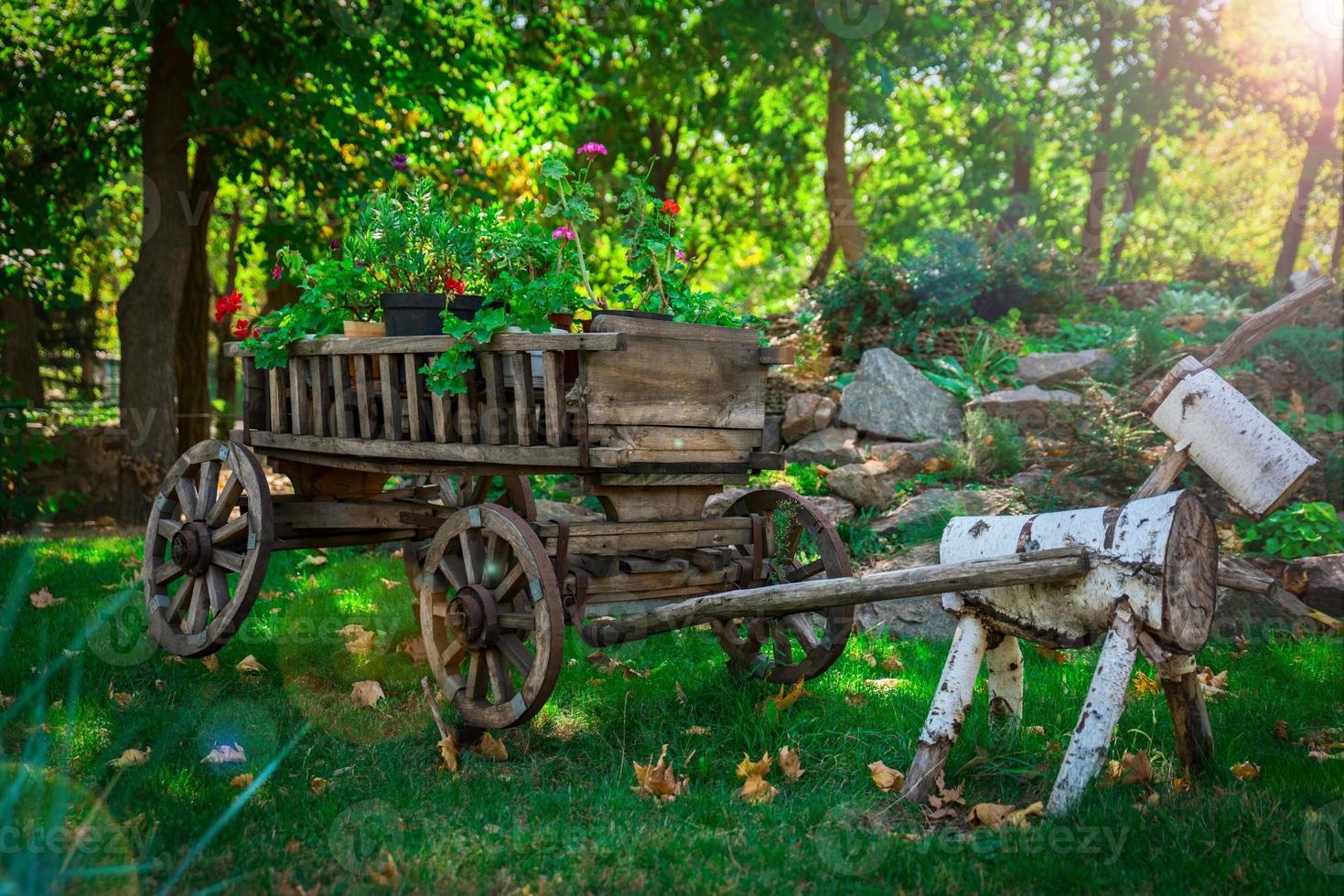 old wooden cart with wheels with flower pots photo